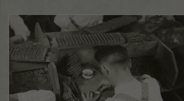 Vintage black-and-white photograph of a worker carefully hand-rolling cigars at a traditional cigar factory.