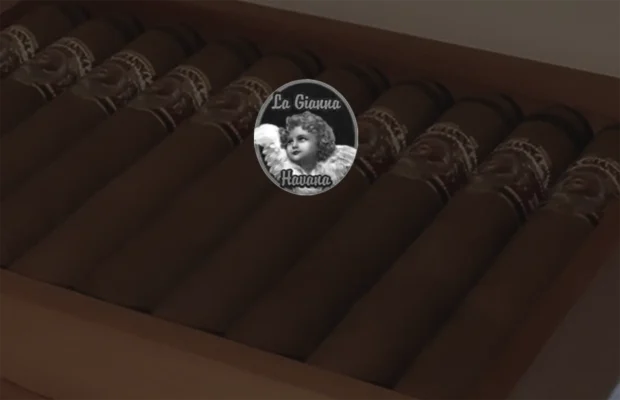 Close-up of La Gianna Havana Angelic premium cigars neatly arranged in a wooden cigar box, highlighting their elegant band design and luxurious appearance, perfect for discerning cigar enthusiasts.