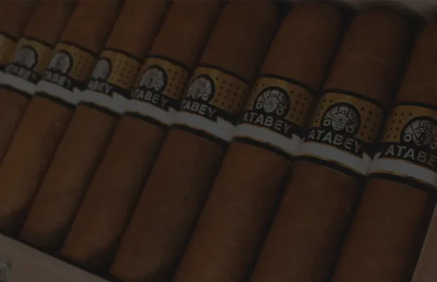 Luxury wooden cigar box filled with Atabey cigars, showcasing rich wrappers and distinctive gold-and-black labels, perfect for cigar aficionados seeking premium quality.