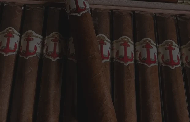 Box of Red Anchor cigars featuring smooth brown wrappers and distinctive bands with a bold red anchor emblem — luxury hand-rolled cigars blending tradition and craftsmanship for a premium smoking experience.