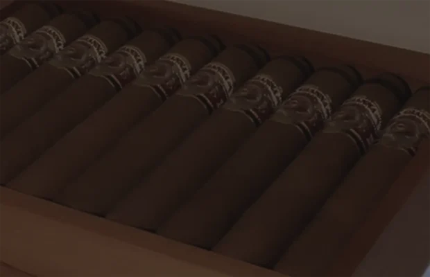La Gianna premium hand-rolled cigars in a wooden humidor box, featuring rich brown wrappers and signature branded bands — ideal for cigar aficionados and collectors.